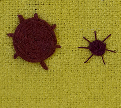 Woven Wheel Stitch