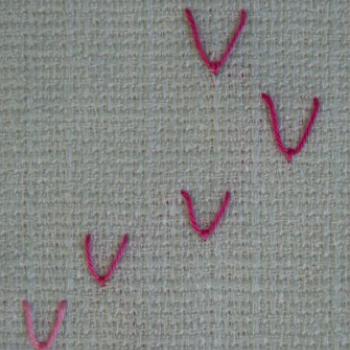 Fly Stitch 
