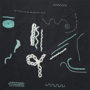 Straight and Line Family Stitches